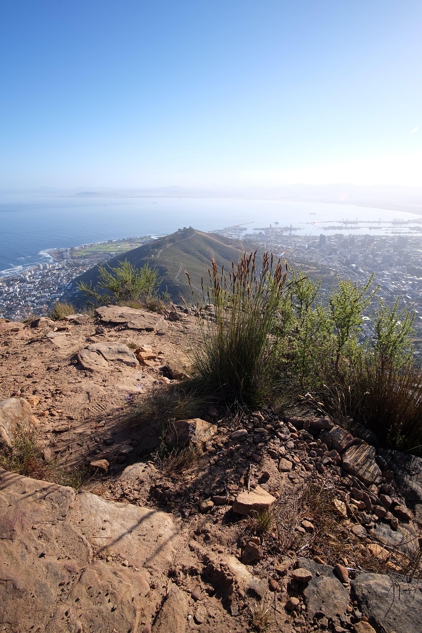 cape town, signal hill, table bay, cape town harbour