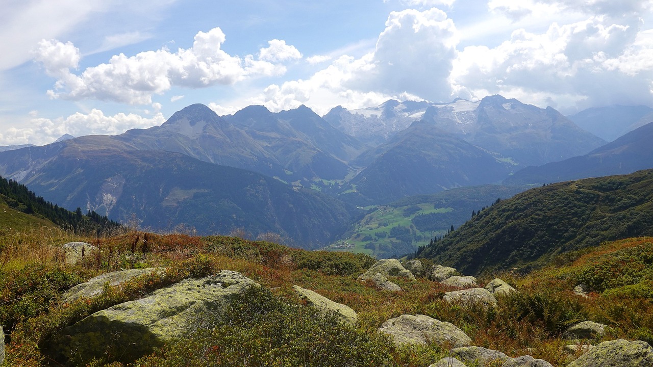 mountain, mountain panorama, flower, autumn mood, multicoloured, landscape