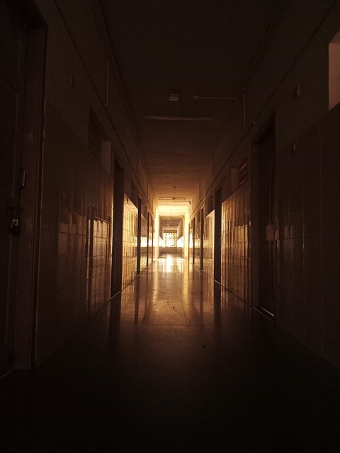 Gallery image 1
