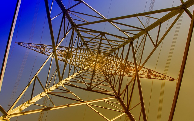 Image for Support Networks