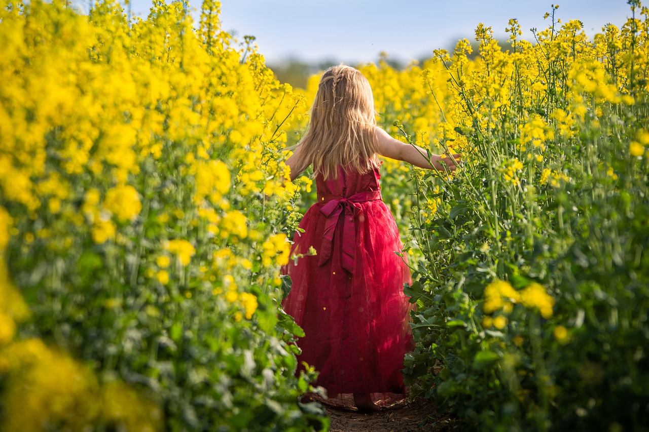 child, rapeseeds, path, yellow flowers, agriculture, farm, dress, little girl, girl, kid, nature, childhood, spring