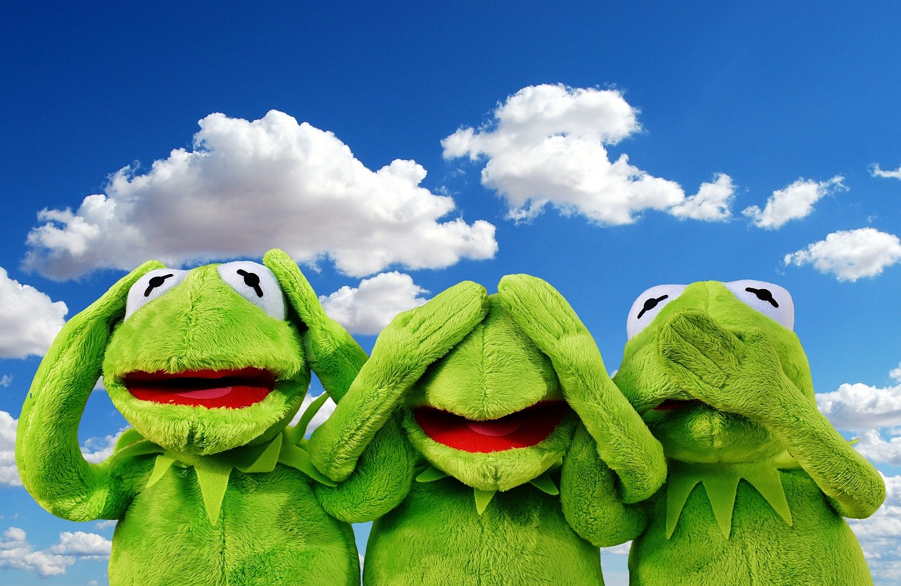 not hear, not see, do not speak, fun, kermit, frog, cute, green, plush, stuffed animal, frogs, to sit