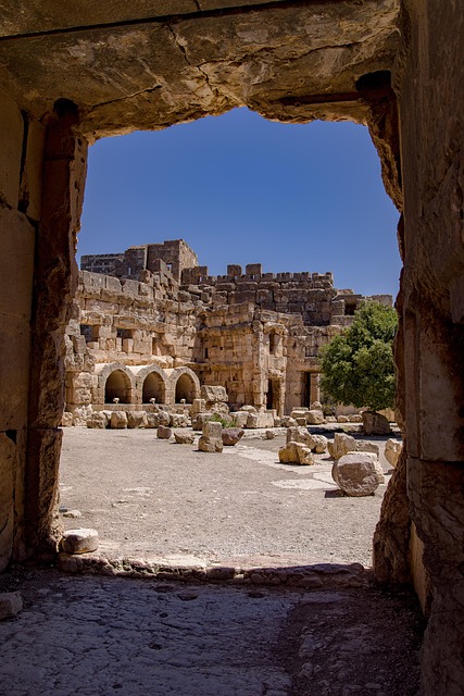 Gallery image 1