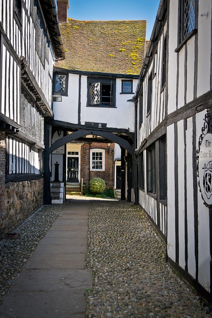 Gallery image 3