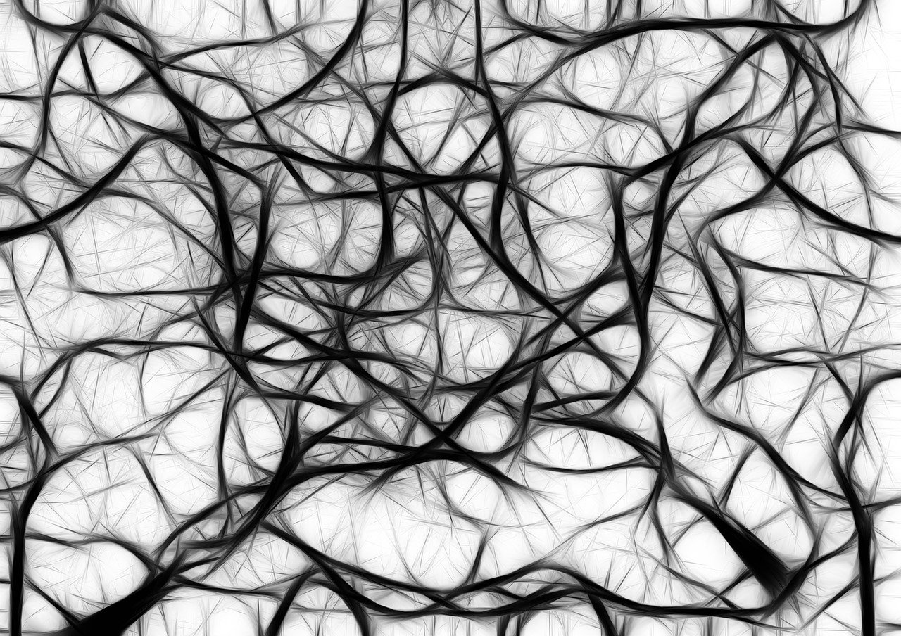 network, wattle, yarn, tissue, meshwork, entanglement, knot, web, meshes, ribbon, loop, sloop, mesh
