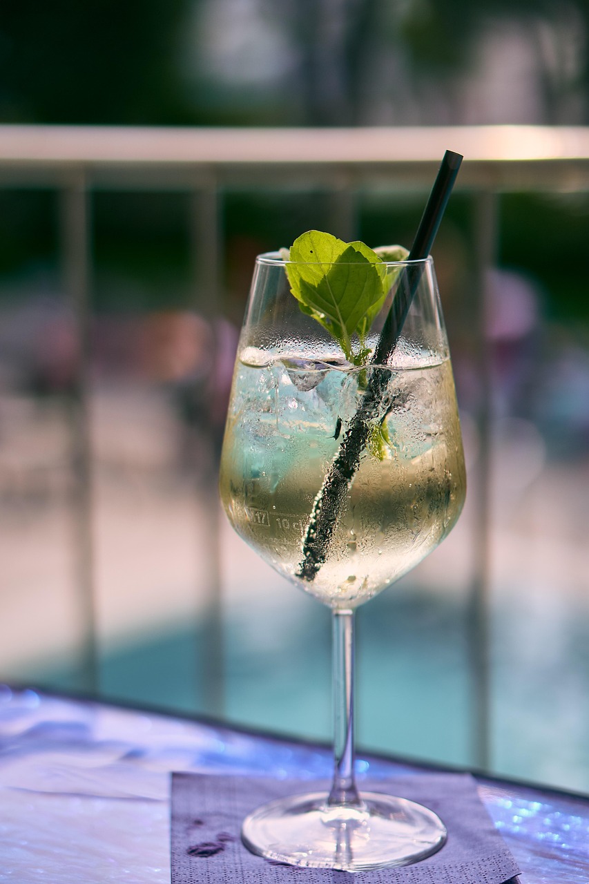 drink, alcohol, glass, wine glass, hugo, mint, to celebrate, bar, cocktail, refreshment, glasses, red, orange, ice cream, seeks, consumption, pool, poolbar, vacations, fun, relaxation
