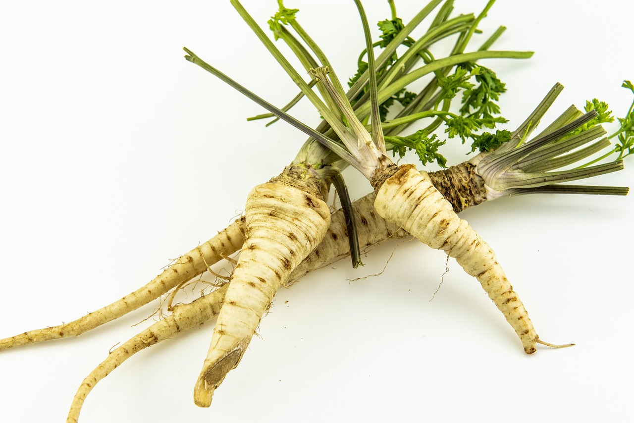 parsley, root, food, healthy, perlin, peterlin, parsley root, petirsil, vegetables, eat, market, green, vegetarian