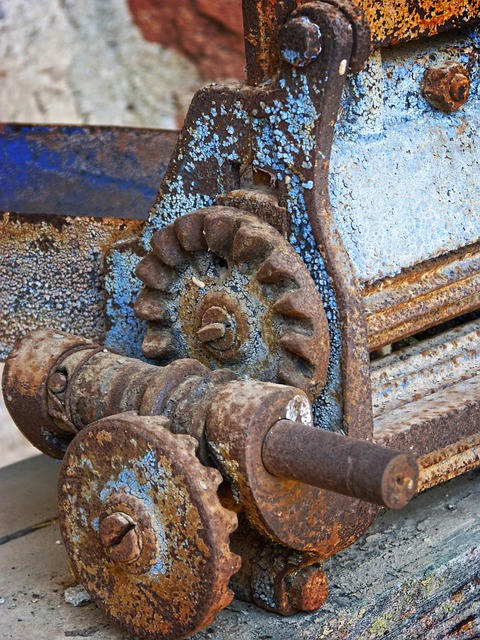Gallery image 6