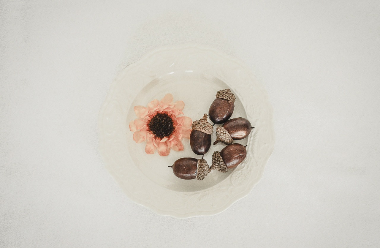 from above, acorns, white space, fall, seasonal icons, autumn, white background, nature