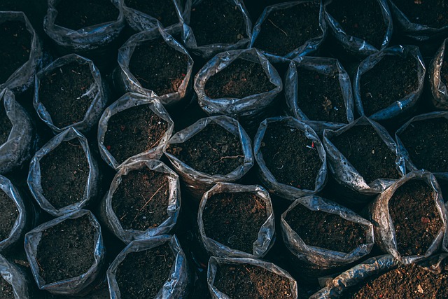 Image for Growing Chile Peppers in Containers and Pots