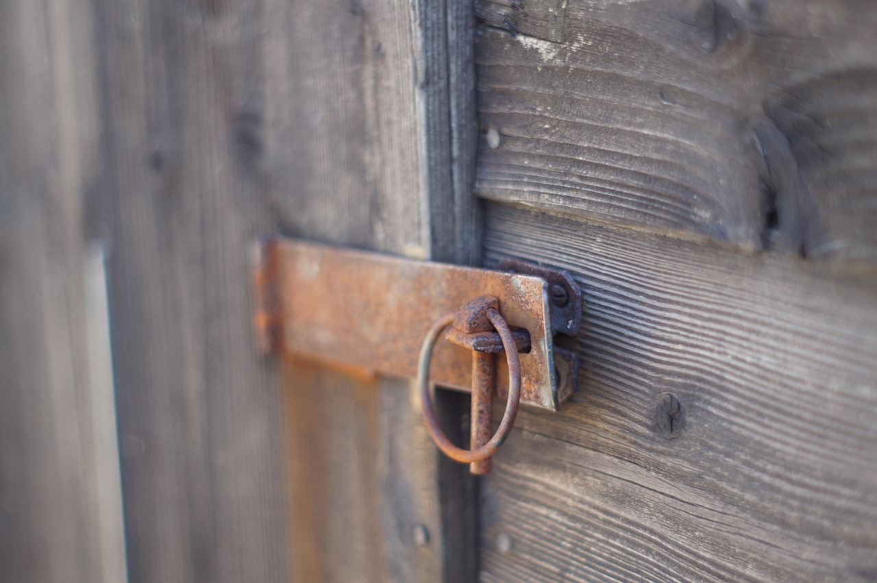 shed, lock, clasp, wood, shallow depth, building, garden shed, wooden, close-up, macro, gray garden