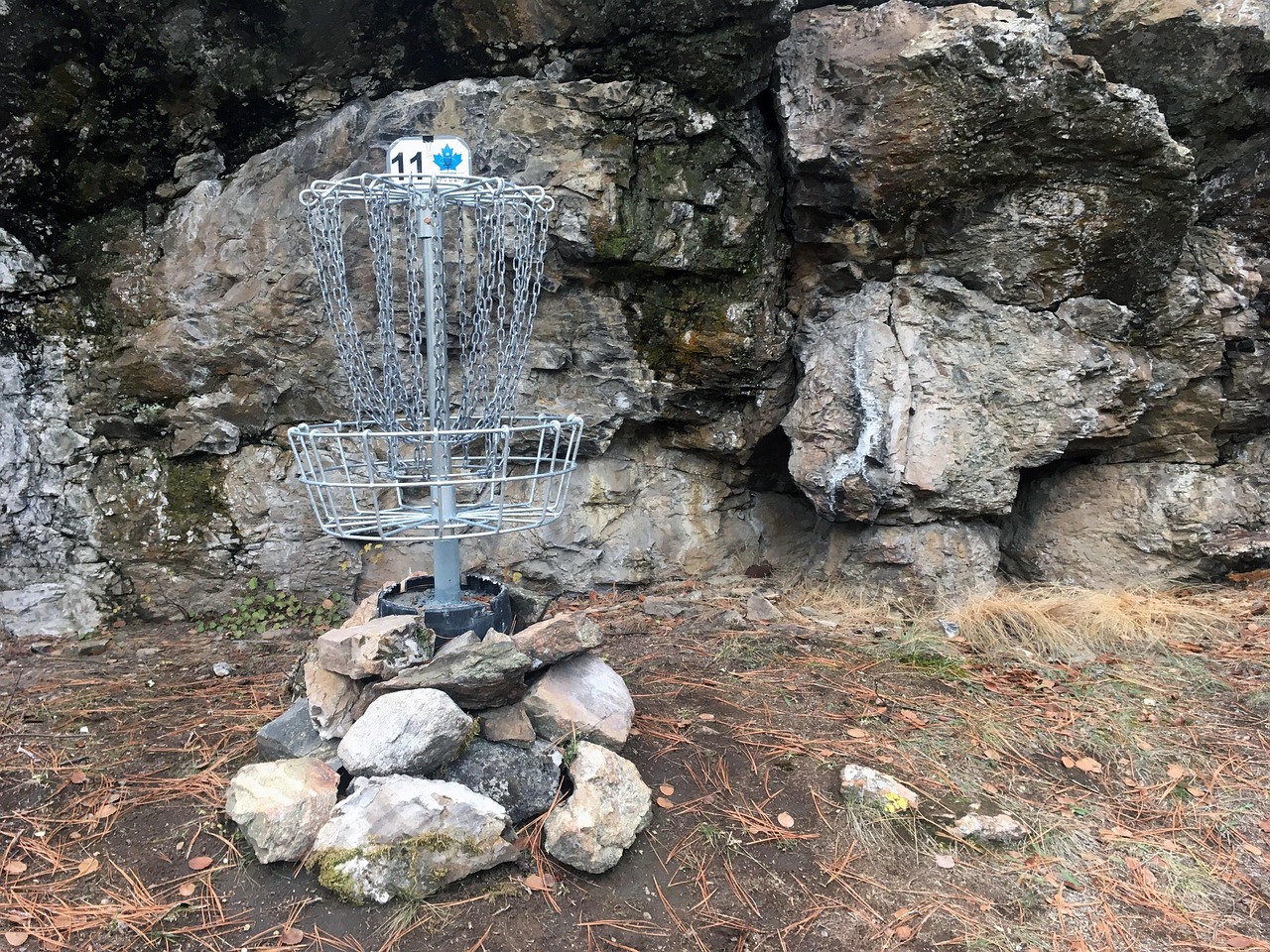 disc, golf, sport, game, target, park, recreation, basket, leisure, recreational, metal, activity, chain, frolf, course, hole, summer, goal, play, outdoor, hobby, nature, sky, pole, yellow, green, field, equipment, score, grass, golfing, point, blue, autumn, throw, frisbee, playing, season, gray golf