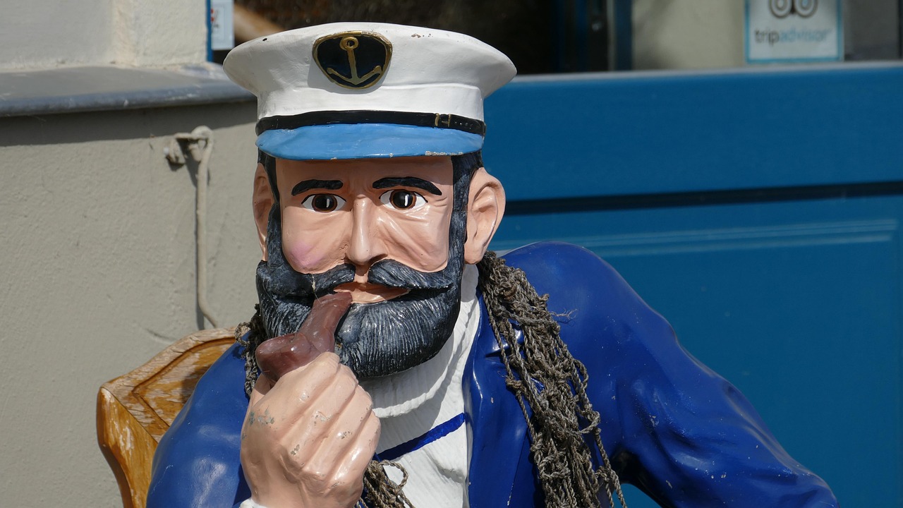 captain, figure, sailor, port, man, cap, fur seal, art