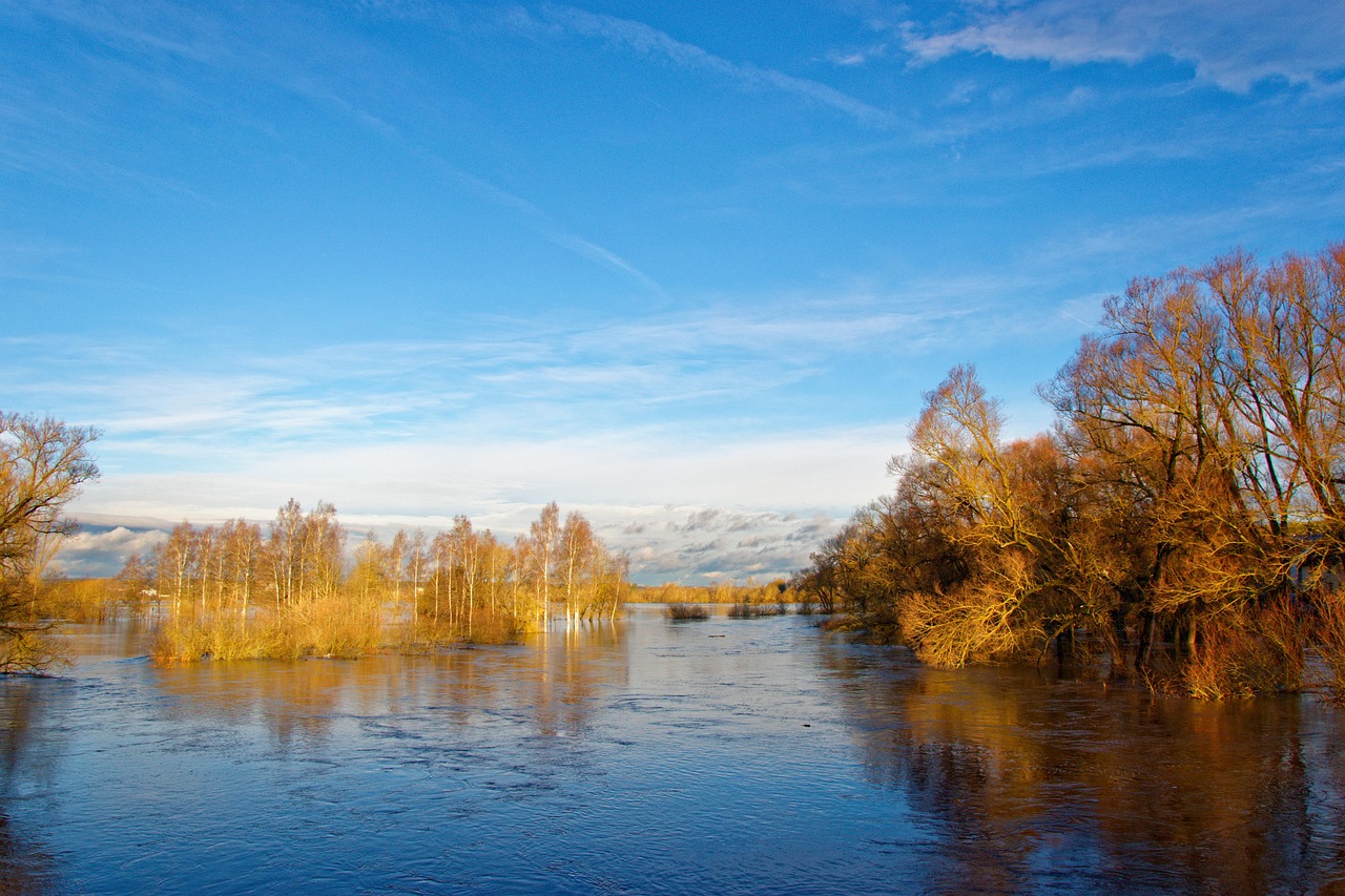 flow, flood, trees, heaven, clouds, water, reflection, lake, nature, climate change, danube, donaueschingen, pfohren, baar, schwarzwald-baar, background